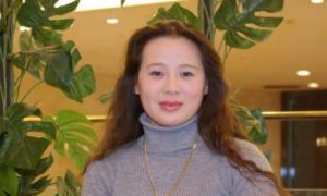 Desperate Petitioner Looks to Overseas Media for Help