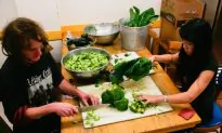 US Could Tighten Belt By Wasting Less Food: Report