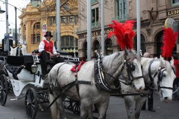 Mark says, 'I think Collingwood'll win but I would like to see St Kilda come home.' (David Bryceson/The Epoch Times) Mark says, 'I think Collingwood'll win but I would like to see St Kilda come home.' (David Bryceson/The Epoch Times)