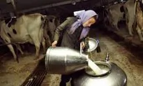 CDC Says Raw Milk Causes Most Dairy-Related Illnesses