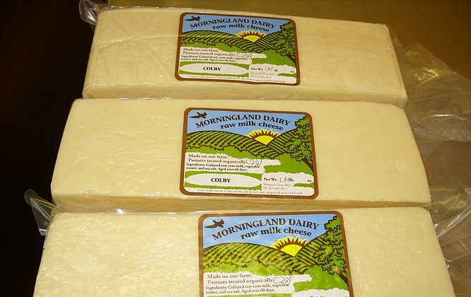 Cheesemakers at Morningland Dairy divide the cheese in half on either side of the vat, allowing extra whey to drain, and cut the curd into approximately 10-inch squares. (Morningland Dairy)