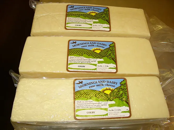 Cheesemakers at Morningland Dairy divide the cheese in half on either side of the vat, allowing extra whey to drain, and cut the curd into approximately 10-inch squares. (Morningland Dairy)