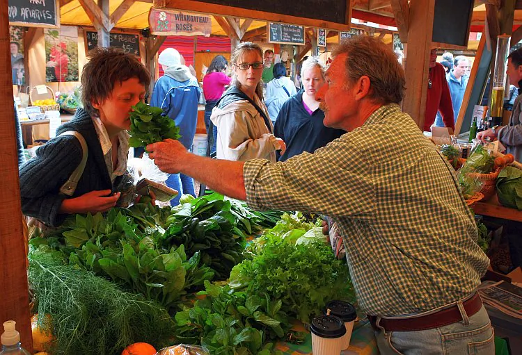 A local buys vegetables at the Matakana Famers Market near Auckland, New Zealand. Small-scale farmers and food producers worry that a proposed Food Bill will impose requirements too costly and complicated for them to stay in business. (Phil Walter/Getty Images)