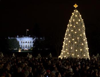CHRISTMAS TREE: The National Christmas Tree, located at the Ellipse south of the White House, Lights up on Dec 4. (Lisa Fan/The Epoch Times) CHRISTMAS TREE: The National Christmas Tree, located at the Ellipse south of the White House, Lights up on Dec 4. (Lisa Fan/The Epoch Times)