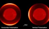 Red Giant Superwinds Send Stardust Storms Into Space