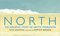 Children’s Library: ‘North, The Amazing Story of Arctic Migration’