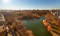 Tapping the Last Central Park Addresses