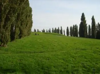 Global Dispatches: The Netherlands—A Stroll Through A Dutch Park