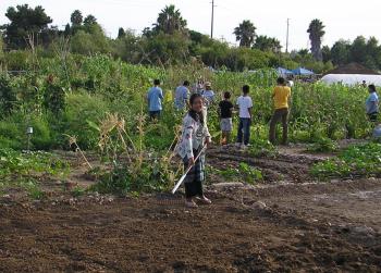 A young woman from Burma smiles for the camera while raking her garden plot to prepare it for planting at the New Roots Community Farm in City Heights. (Gisela Sommer / The Epoch Times) A young woman from Burma smiles for the camera while raking her garden plot to prepare it for planting at the New Roots Community Farm in City Heights. (Gisela Sommer / The Epoch Times)