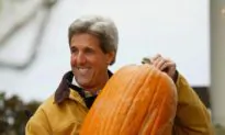Pumpkins —The Healing Plant