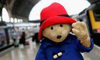 Books In The News: Paddington Bear, Bibles in UK Schools, Author Karen Russell
