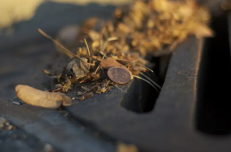 Canada’s federal budget, released last week, includes the decision to end production of the penny. (Matthew Little/The Epoch Times)