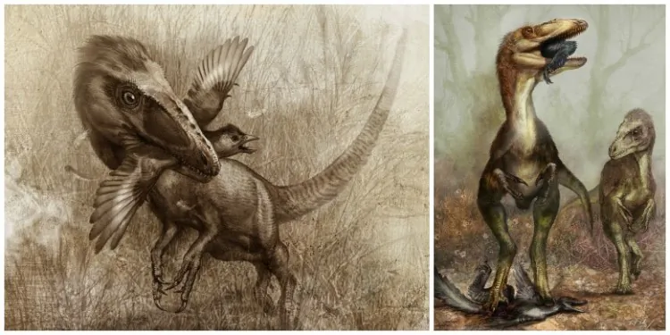 Sinocalliopteryx as a stealth hunter feeding on the dromaeosaur Sinornithosaurus (L), and the bird Confuciusornis (R). (Cheung Chungtat)