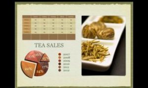 iWork 2009: A Hands-On Review, Part 2