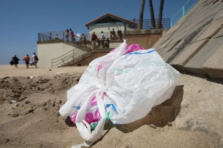 The wind blows a plastic bag around the beach near the Manhattan Beach Pier August 21, 2008 in Manhattan Beach, Calif., in this file photo. Los Angeles became the largest city in the country to adopt a ban on single-use plastic bags, passing the ordinance May 23.(David McNew/Getty Images)