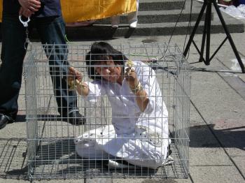 A torture method in which Falun Gong practitioners are held for long periods in a small cage. (Joan Delaney/The Epoch Times)