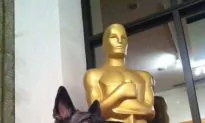 The First Oscars: A Return to 1929