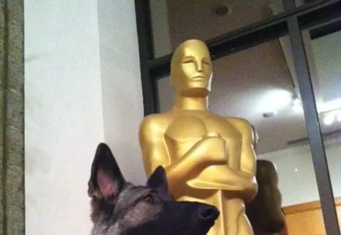 The First Oscars: A Return to 1929