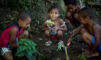 Sustainable Solutions Doubtful at Rio+20 Summit