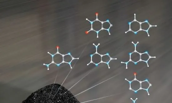 Meteorite Hunters Journey to Mississippi to Gather Artifacts From the Sky