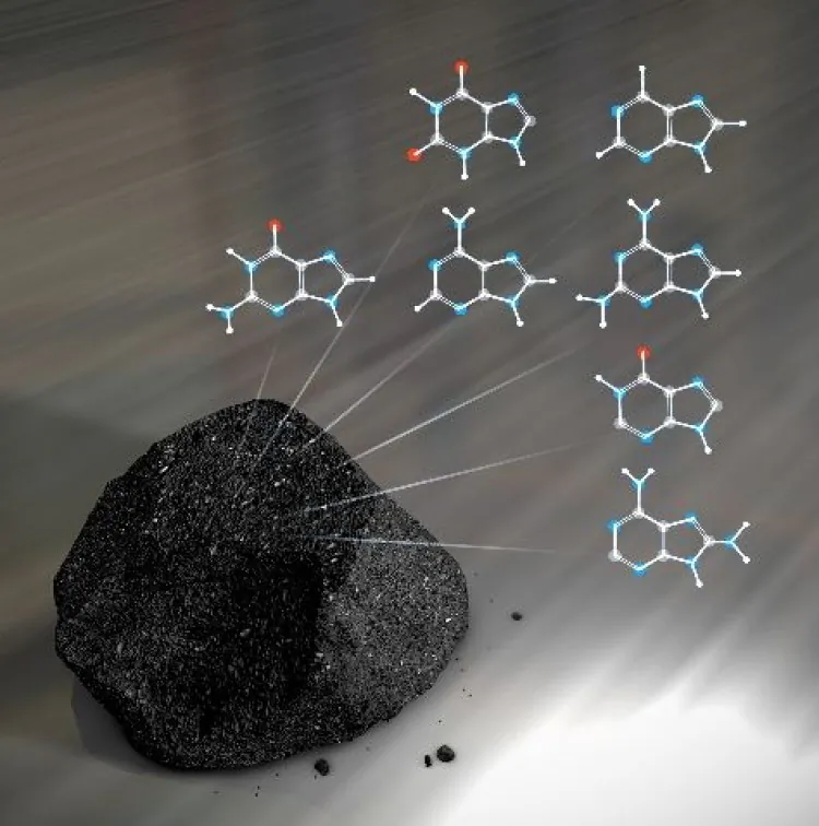 Meteorites contain a large variety of nucleobases, an essential building block of DNA. (NASA's Goddard Space Flight Center/Chris Smith)