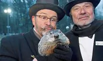 Groundhog Day 2012: Punxsutawney Phil Predicts Remainder of Winter