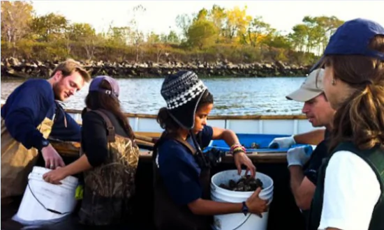 New York Harbor School to Show Off Oyster Program to Arne Duncan