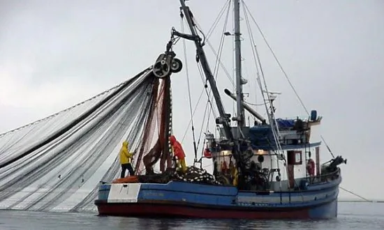 America’s Seafood Industry Getting ‘Crushed’ by High Tariffs and Inflation