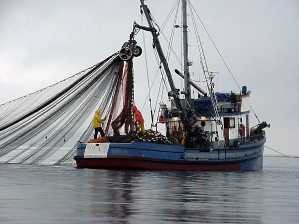 America’s Seafood Industry Getting ‘Crushed’ by High Tariffs and Inflation