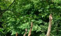 Fall Fitness for Seniors in New York City Parks