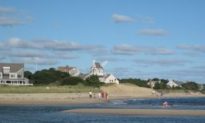 Summer in Cape Cod