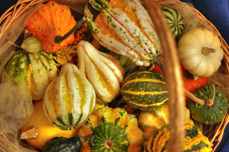 Squash is one of the five major vegetables that help the skin maintain a youthful appearance. (Cat Rooney/The Epoch Times)