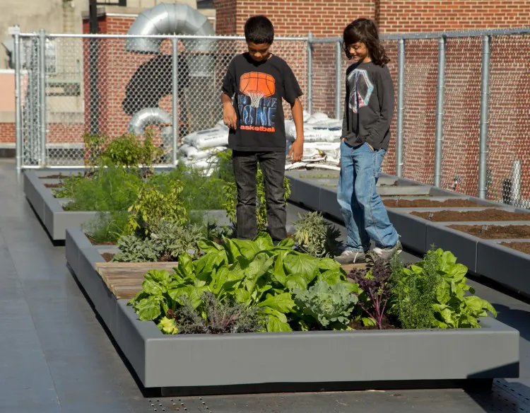 A school garden recently opened atop Mott Haven Academy Charter School in the Bronx, New York City. (Benjamin Chasteen/The Epoch Times)