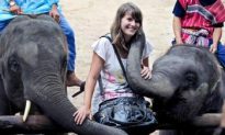 Tourists are Thai Elephants’ Last Hope