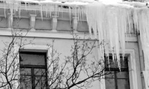 Election Reform Heats Up Ukraine's Race for President