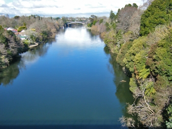 NZ Greens Accuse Government of Ignoring Dirty Water