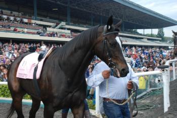 Zenyatta farewells the crowd. (Robin Kemker/The Epoch Times) Zenyatta farewells the crowd. (Robin Kemker/The Epoch Times)