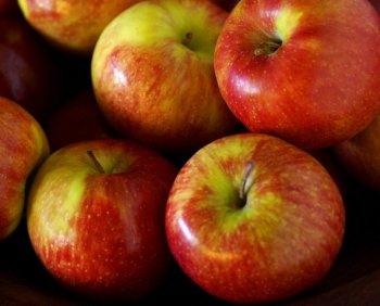 Apples are a great source of dietary fiber, which helps digestion and promotes weight loss. (Photos.com) Apples are a great source of dietary fiber, which helps digestion and promotes weight loss. (Photos.com)