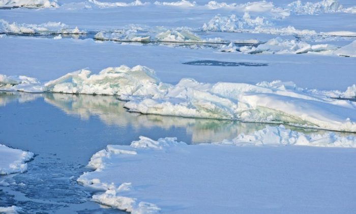 Ice is seen floating in the Arctic Ocean in this undated photo. There is a hot debate among climate skeptics and scientists on how much the world's ice is melting or accumulating. (Courtesy of NOAA News)