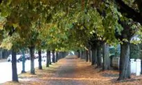 The Arrival of Autumn in Ireland