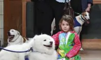 Creatures Great and Small Congregate at Central City Church