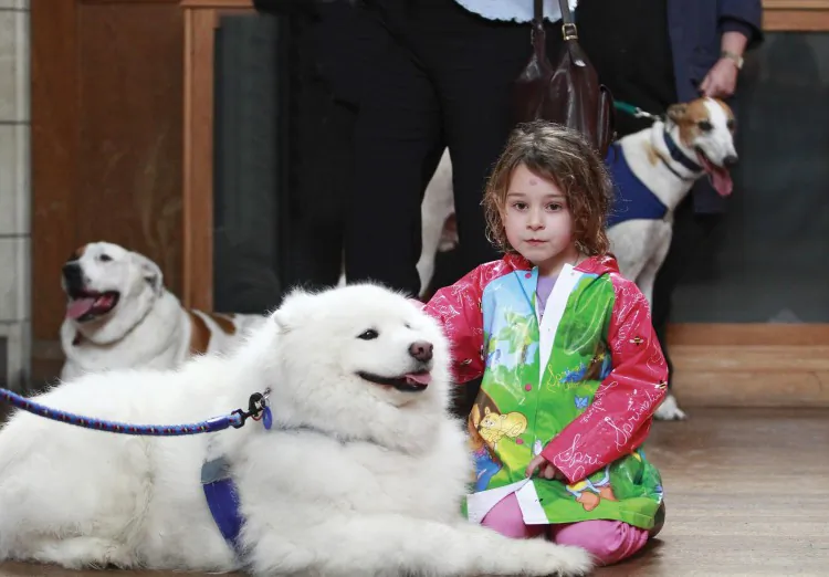 Pets and their proud owners will pile into St Matthew-In-The-City in Auckland central to celebrate the birthday of St Francis of Assisi, Patron Saint of Animals. (Animals' Voice Magazine/Andy Conlan)