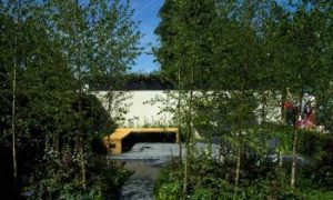 Dublin Gardeners Win Gold Medal at Bloom Flower Show