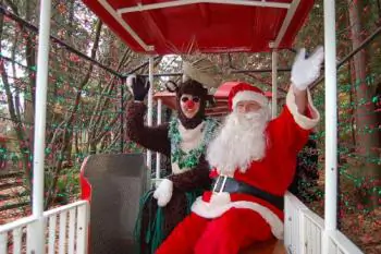 ‘Bright Nights’ All Set for the Christmas Season