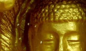 The Legendary Udumbara Flower