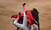 Bullfighting Deemed Illegal in Catalonia, Spain