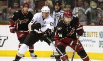 Lawyers, Sports Leagues Eye Coyotes Bankruptcy