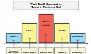 World Flu Alert Level Raised