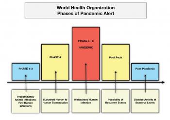World Flu Alert Level Raised