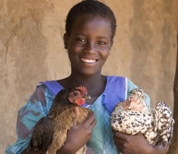 A girl in Malawi holds her gift of chickens. Fowl given to a family in a developing country can provide eggs or chicks, both good for food or sale. It could even be the beginning of a family business. (World Vision)